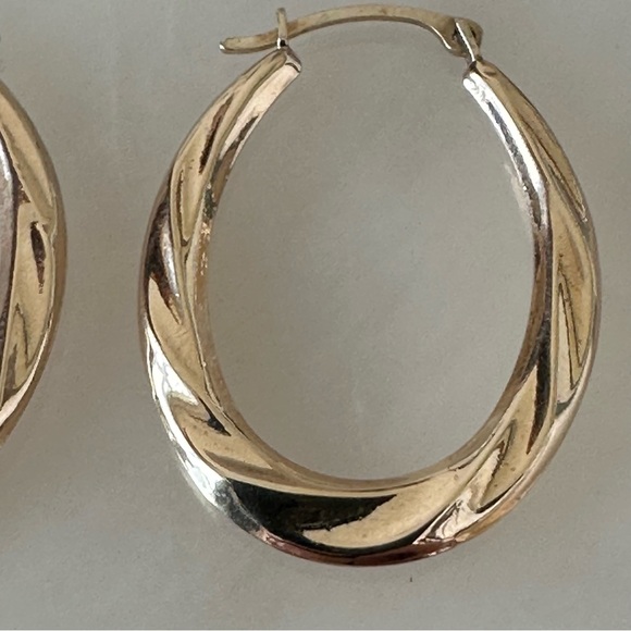 10k Gold Oblong Hoop Earrings - Picture 11 of 16